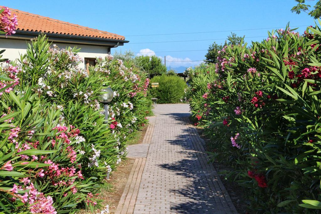Agriturismo Gli Etruschi Популония Екстериор снимка