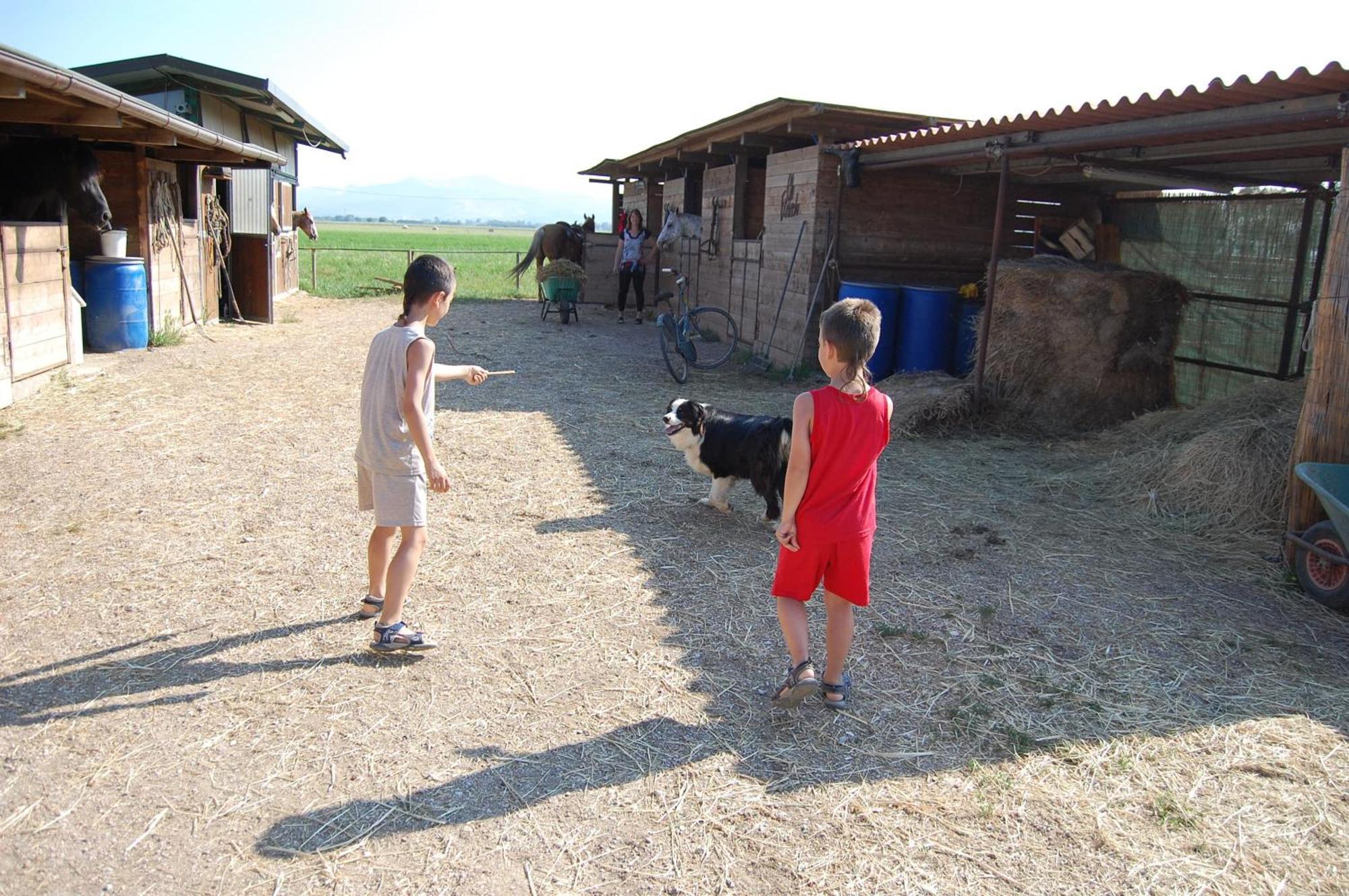 Agriturismo Gli Etruschi Популония Екстериор снимка