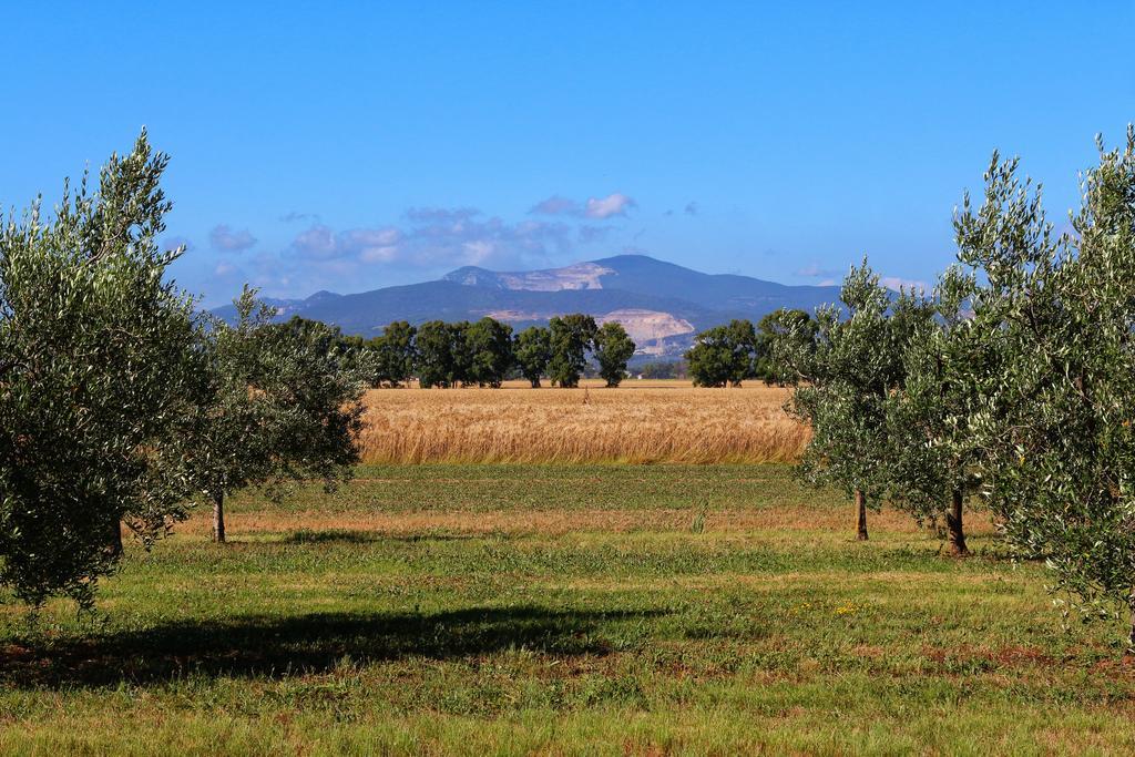 Agriturismo Gli Etruschi Популония Екстериор снимка